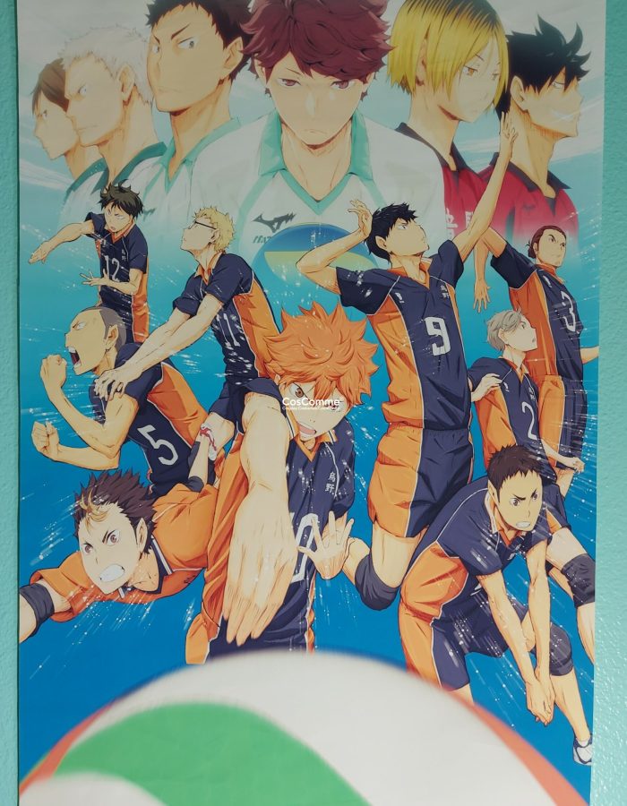 PRE-OWNED Anime Haikyuu wall scroll light canvas