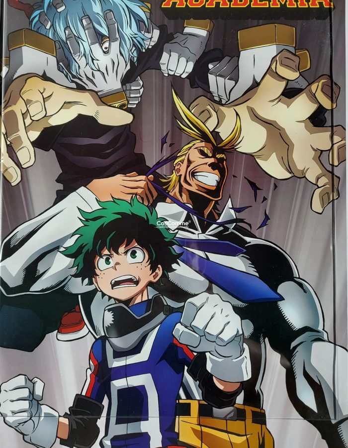 PRE-OWNED My Hero Academia Anime Poster