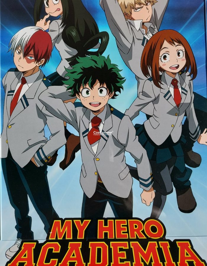 PRE-OWNED My Hero Academia Anime Poster