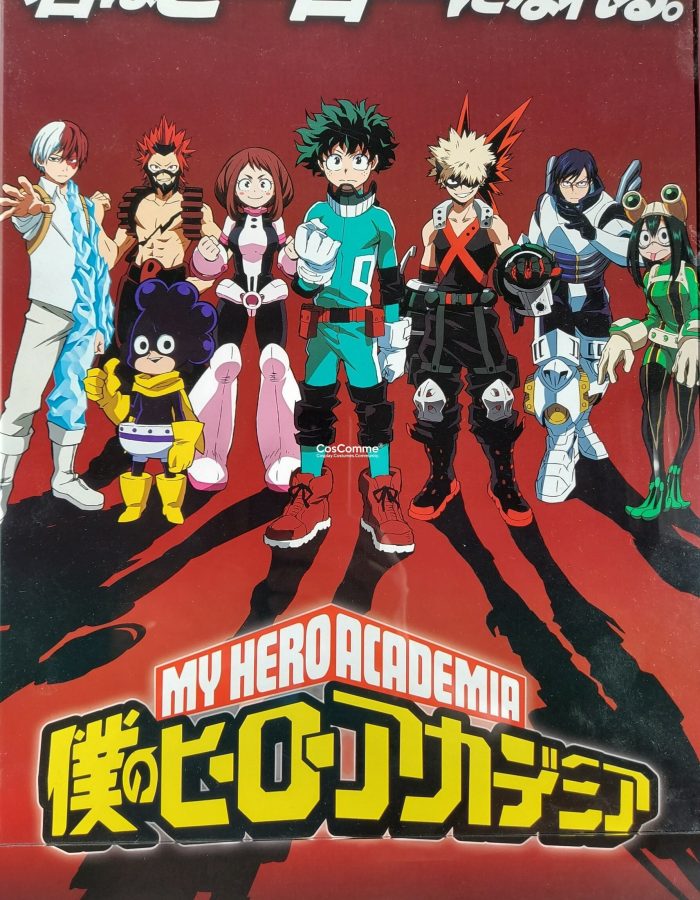 PRE-OWNED My Hero Academia Anime Poster