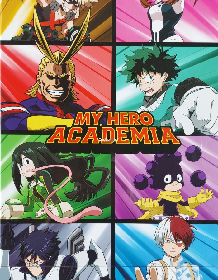 PRE-OWNED My Hero Academia Anime Poster